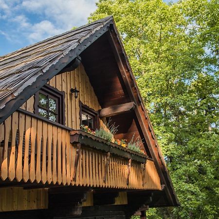 Pocitniska Hisa Koca Dobnik Villa Lovrenc na Pohorju Exterior photo
