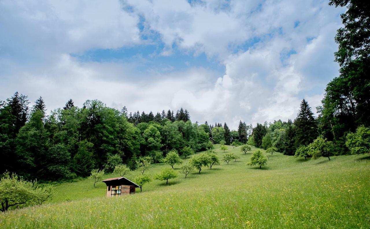 Pocitniska Hisa Koca Dobnik Villa Lovrenc na Pohorju Exterior photo