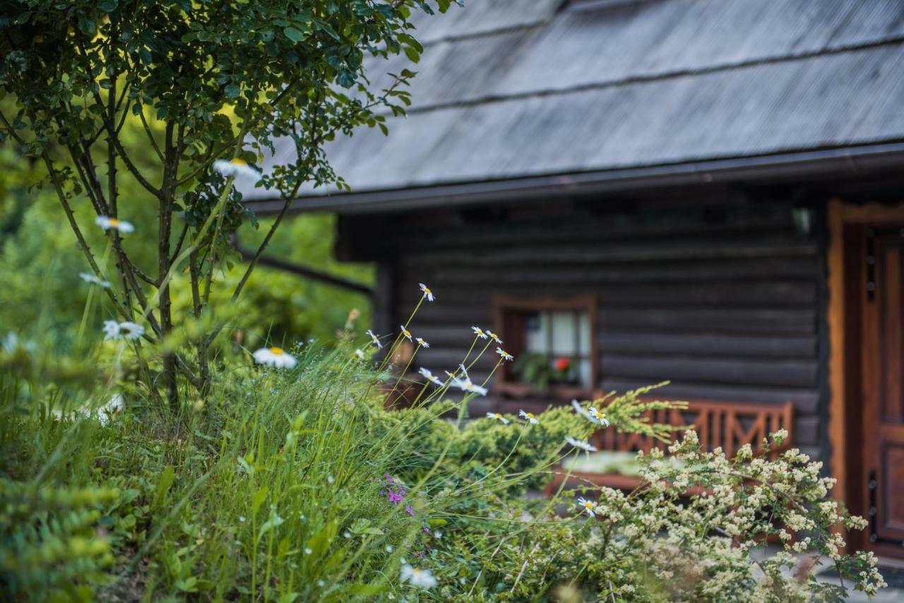Pocitniska Hisa Koca Dobnik Villa Lovrenc na Pohorju Exterior photo